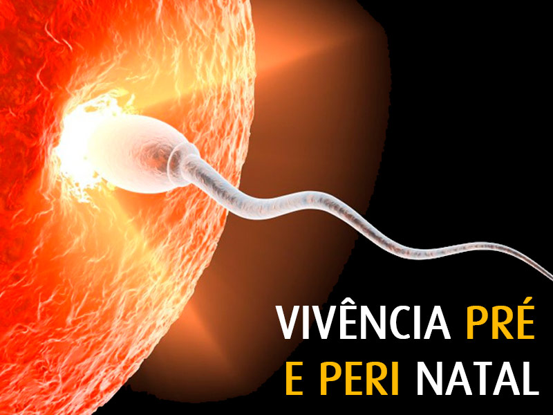 vivencia pré e peri natal agenda vivencia pré e peri natal agenda