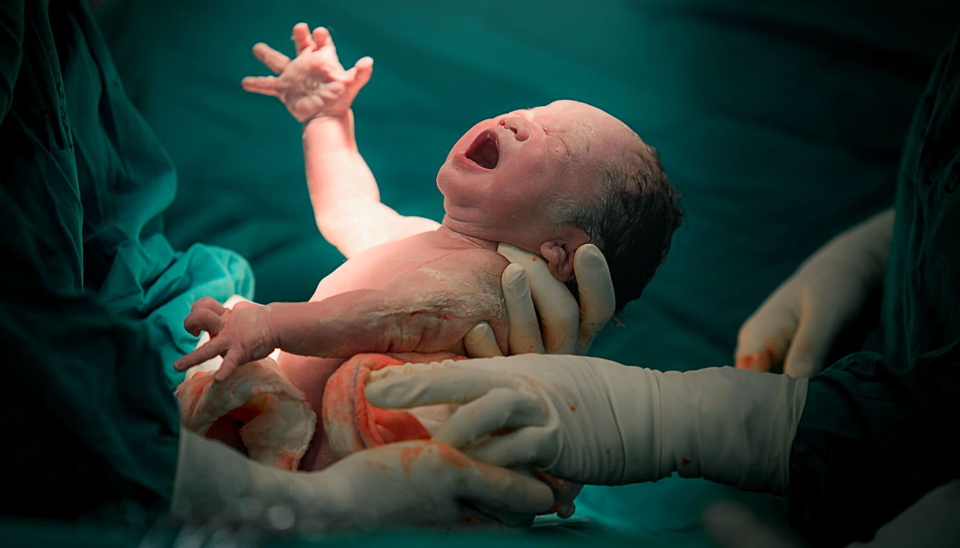 Psicologia Pré e Perinatal (PPN) x Renascimento: A Diferença Profunda Que Você Precisa Entender